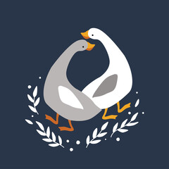 Obraz premium The geese look at each other. Poultry.