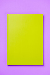 Green Leather notebook on paper pink background, notepad mock up, top view shot