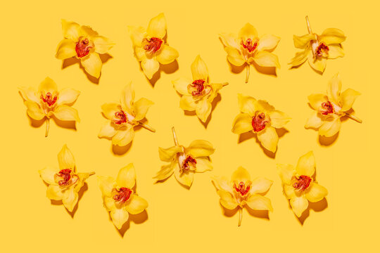 Pattern of heads of yellow blooming orchids