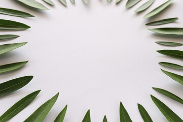 green leaves frame on a white background with a space for text.
