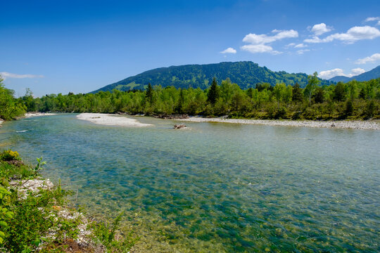 Isar river in spring