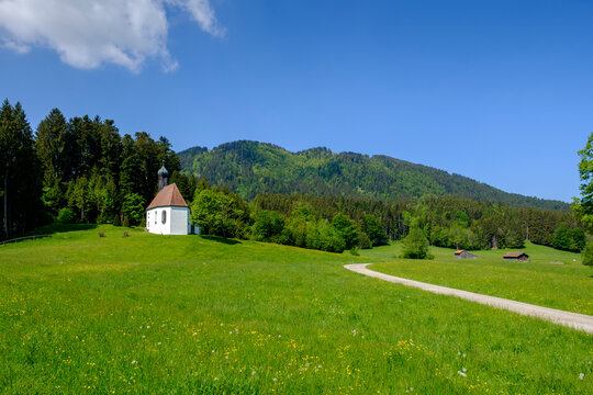 Green alpine meadow with Pestkapelle in background