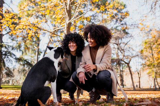 Young friends smiling wile playing with dog at park