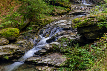 waterfall in the forest