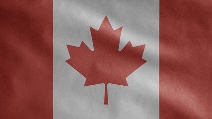 Canadian flag waving in the wind. Close up of Canada banner blowing, soft silk.