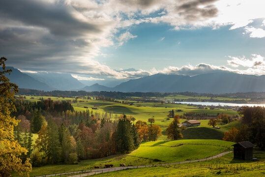 Hill and trees in Autumn with mountains in background
