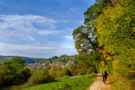 Person cycling on path in landscape