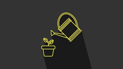 Yellow Watering can sprays water drops above plant in pot icon isolated on grey background. Irrigation symbol. 4K Video motion graphic animation