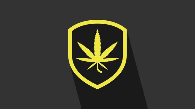Yellow Shield and marijuana or cannabis leaf icon isolated on grey background. Marijuana legalization. Hemp symbol. 4K Video motion graphic animation