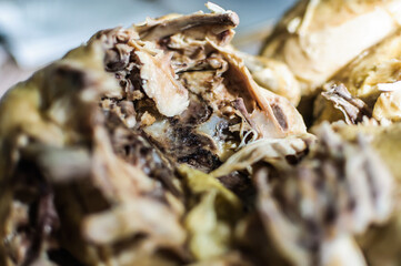 close up detail of boiled chicken with soft focus background prepared for meal