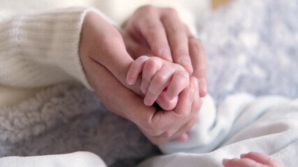 お母さんの手を握る赤ちゃんの手 Wall Mural Wallpaper Murals Taka