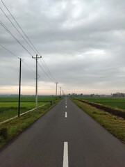 Fototapeta na wymiar road in the middle rice fields