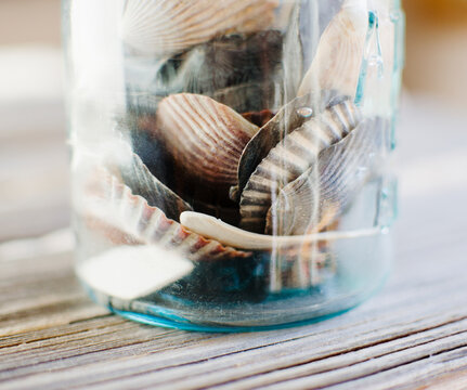 Shells in jar