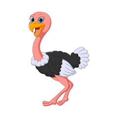 Cartoon funny ostrich on white background