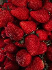 Delicious fresh organic natural red Strawberries