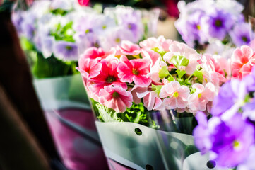 bouquet of tulips in a vase