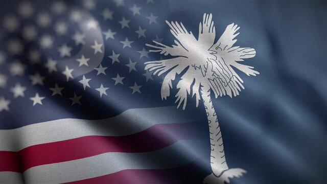 South Carolina State USA Mixed Flag Close Up HD
