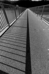 Fototapeta premium Bicycle Bridge over the Chatcolet Lake, Idaho