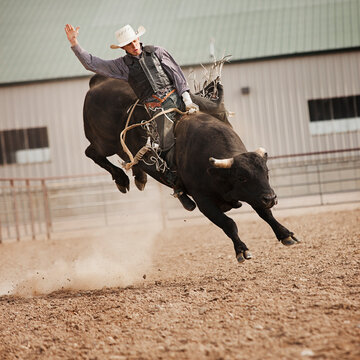 USA, Utah, Highland, Bull rider during rodeo