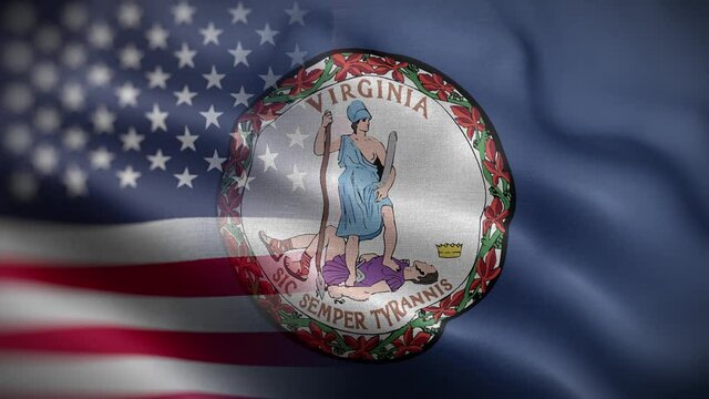 Virginia State USA Mixed Flag Front HD