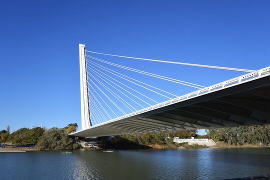 Alamillo Bridge, Sevilla, Spain, Europe