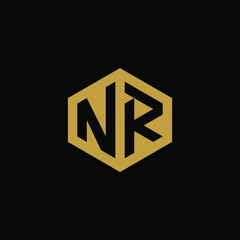 Initial letter NR hexagon logo design vector