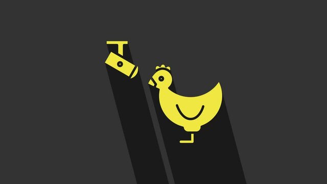 Yellow Chicken farm and wireless Controlling CCTV security camera icon isolated on grey background. 4K Video motion graphic animation