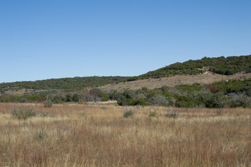 Obraz premium lake in the mountains