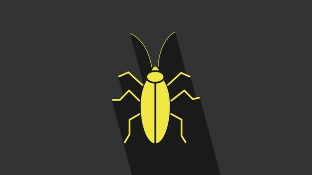 Yellow Cockroach icon isolated on grey background. 4K Video motion graphic animation