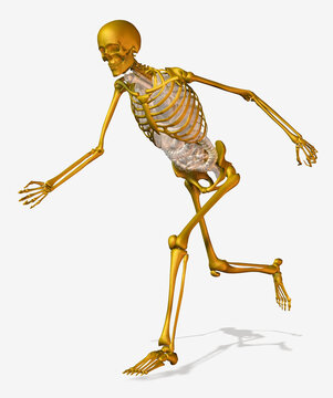 Digitally generated image of running human skeleton
