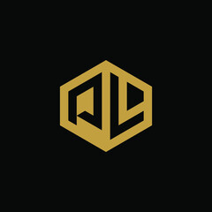 Initial letter PL hexagon logo design vector
