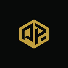 Initial letter PP hexagon logo design vector
