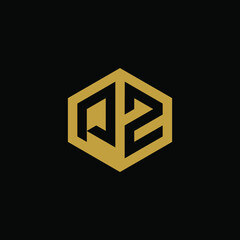 Initial letter PZ hexagon logo design vector