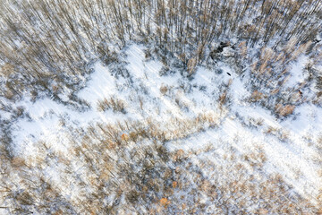 view from above of frozen winding creek in snowy winter forest