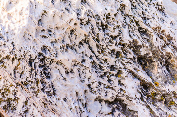 close up detail of rock surface with variety of colors under natural sunlight