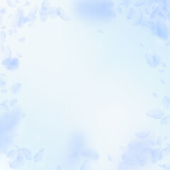 Fototapeta na wymiar Light blue flower petals falling down. Modern roma