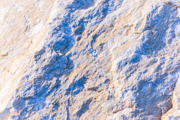close up detail of rock surface with variety of colors under natural sunlight