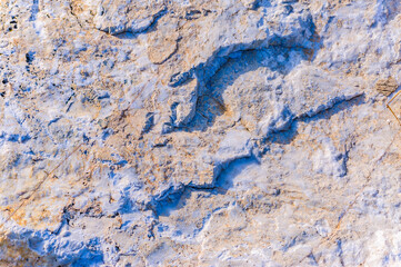 close up detail of rock surface with variety of colors under natural sunlight