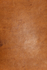 leather grunge background: an old piece of tough camel skin, with scuffs, spots, scars