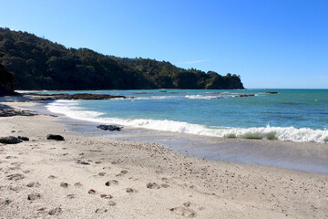 Footprints in the sand at Otarawairere Bay near Ohope Beach in New Zealand