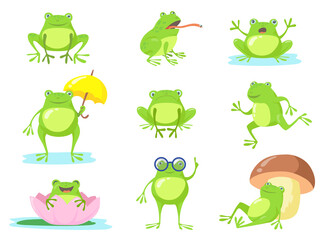 Cute frog in different poses flat character set. Cartoon funny green toad jumping, sitting, relaxing in pond, eating fly isolated vector illustration collection. Animals and amphibians concept