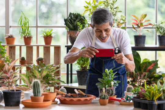 A senior Asian man gardener using smartphone take photo of tree and botany in an indoor garden with happiness