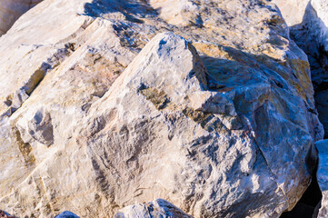 close up detail of rock surface with variety of colors under natural sunlight