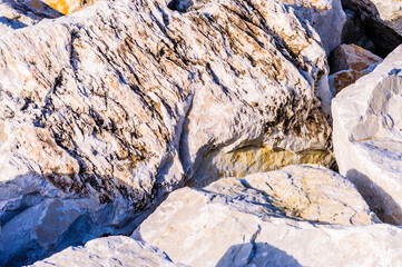 close up detail of rock surface with variety of colors under natural sunlight