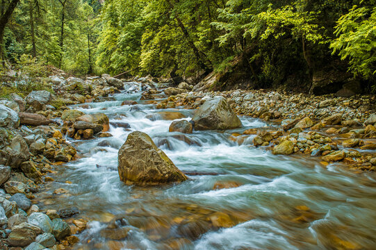River in the forest. The beautiful river flowing between alpine meadows in the lap of Himalaya,  Parvati valley on a trek to Hamta Pass, 4270 m on the Pir Panjal range, Himachal Pradesh, India.