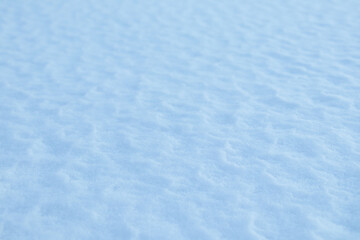 冬　雪