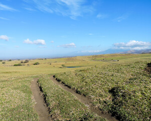 Field and sky in Northern Costa Rica