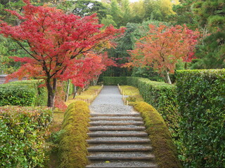 Kyoto,Japan-November 20,2020: Katsura Imperial Villa in rainy autumn day
