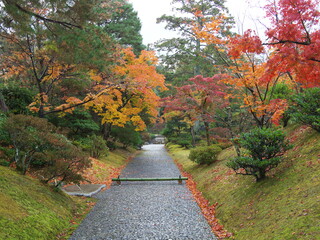 Fototapeta na wymiar Kyoto,Japan-November 20,2020: Katsura Imperial Villa in rainy autumn day 