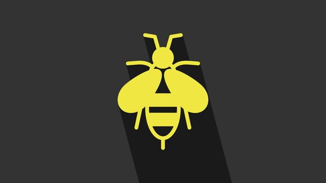 Yellow Bee icon isolated on grey background. Sweet natural food. Honeybee or apis with wings symbol. Flying insect. 4K Video motion graphic animation